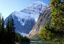 为什么会存在美团核销第三方接口API服务商